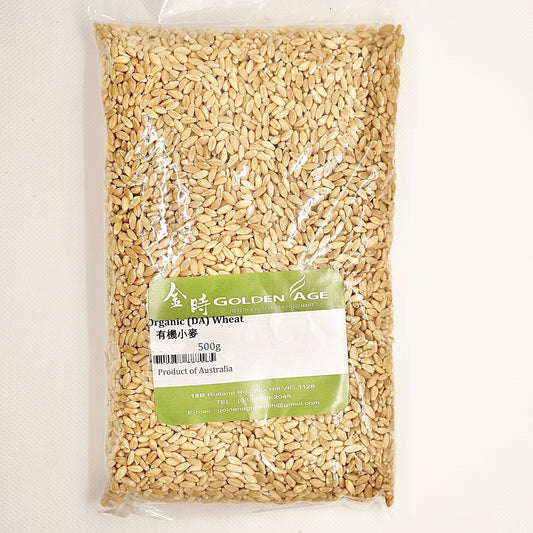 有機小麥 500g Organic Wheat